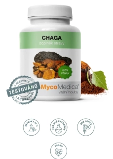 Chaga